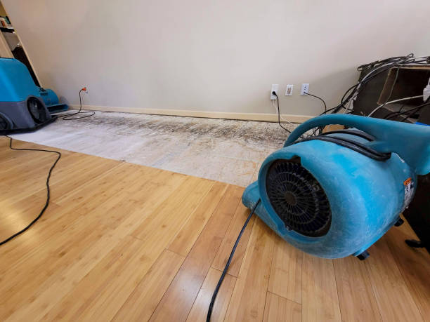 Professional Structural Drying technician working in Wharton, OH